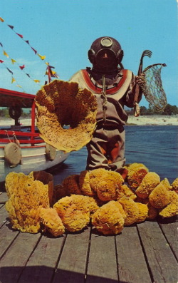 bad-postcards:  SPONGE MAN SPONGE DIVER WITH SPECIMEN OF FINE