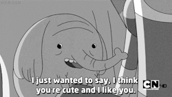 silly-luv:  ♡ find your best posts on my blog ♡  Omfg, adventure timee