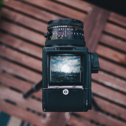 corymarrphotography:  NYC Through the Hasselblad – New York