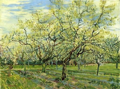blondebrainpower:Orchard with Blossoming Plum Trees, 1888By Vincent