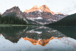 jaymegordon: Mt. Ball, Banff National Park ➾ Jayme Gordon 