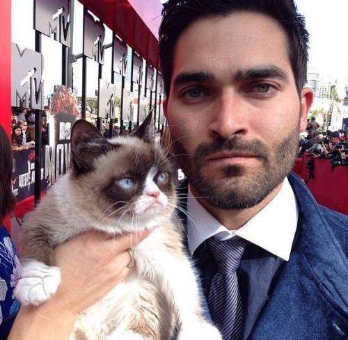 Two fuzzy faces (Tard, aka Grumpy Cat, held here by Tyler Hoechlin, put in an appearance with the rest of the stars at the MTV Movie Awards)