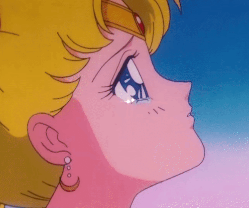 moonlightsdreaming:「 Pretty Guardian Sailor Moon 」