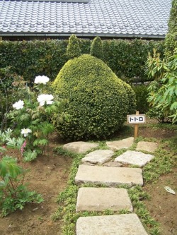 rnortal:  My Neighbor Totoro garden in Japan!  source 