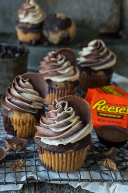 therecipepantry:  Reese’s Peanut Butter Chocolate Cupcakes