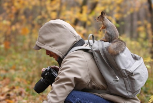 Onward, noble steed