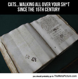 thingsmakemelaughoutloud:  Cats Have Never Changed- Funny and