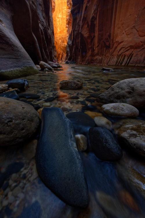 earthporn:  The Narrows, Zion National Park, USA | OC | 1000