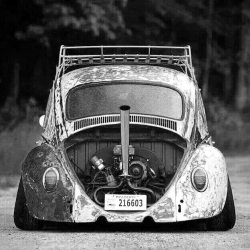 blackdustblog:  #blackdust #vwbug #vwbeetle #vw #customcar http://ift.tt/2wXPwWw