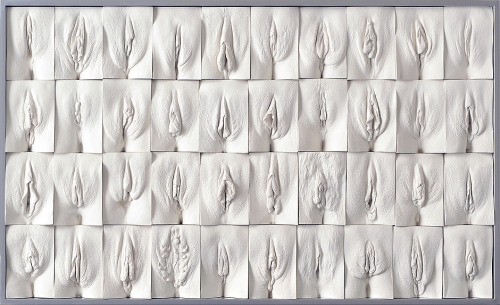 rikkisixx:  The Great Wall of Vagina - Jamie McCartney (x) Jamie made molds of the vaginas of women between 18 and 76 years. Among others, they include twins and transgender women. Women are often confused about their vagina, because they think it looks
