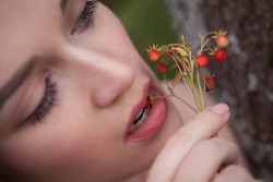 gewelmaker:  Serena WoodWild Strawberries