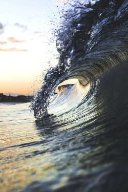 wavemotions:  Let me tell you a secret, this is my obsession