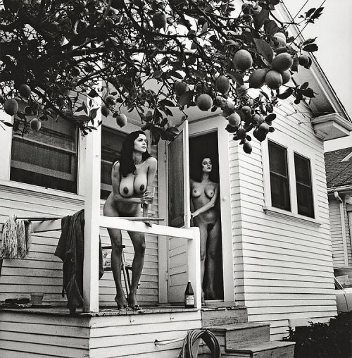 Helmut Newton, „2 Playmates with Lemon Tree, Los Angeles"