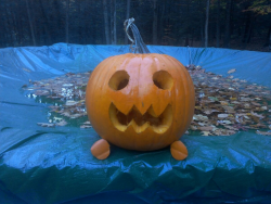 pipiipek:  i carved the pumpkin doggo today. 