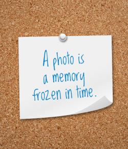 dell:  Many people claim to have a photographic memory, but none