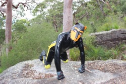 Sexy Gryph at Pup Pride Down Under