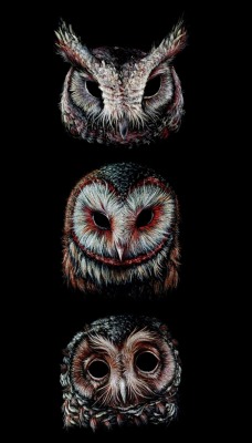 ink-metal-art:  OWL ART