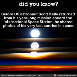 did-you-kno:  Before US astronaut Scott Kelly returned from his