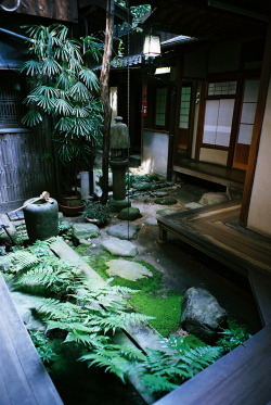 genjoshi:  dreams-of-japan:  	the courtyard by Kei Yoshimizu