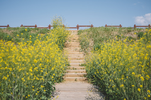 boohwanj:  2021-04-18FUJIFILM X100VInstagram  | hwantastic79vivid