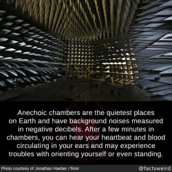 mindblowingfactz:  Anechoic chambers are the quietest places