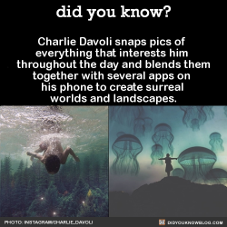 did-you-kno:  Charlie Davoli snaps pics of everything that interests