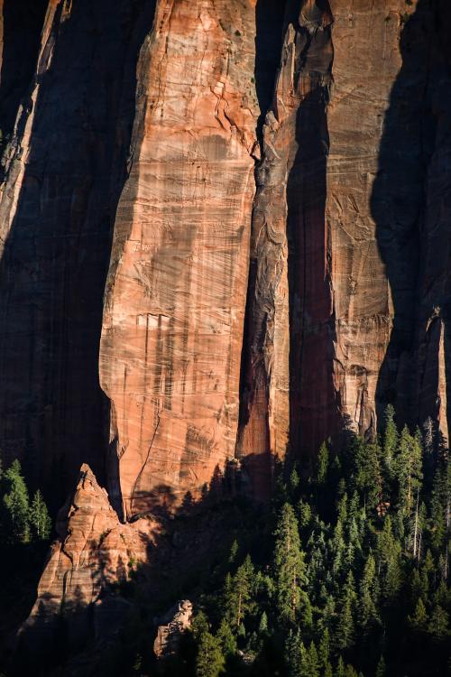 oneshotolive:  One of the quieter parts of Zion National Park,