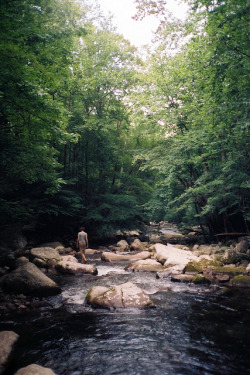 calms:   nature/vintage/photography blog 