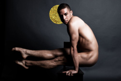 CHERUB (SAMUEL) gold series - elevation photographed by landis