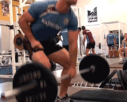 thelockerroom:  Brenton Lawrence of the Sea Eagles in the Gym