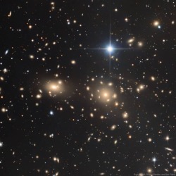 The Coma Cluster of Galaxies #nasa #apod #comacluster #galaxies