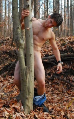 evergreendream:  Tree Hugger 