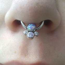 beggingforanswers:  My new septum ring. 