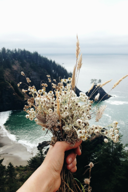 expressions-of-nature:  flowers walk with me by Susanna Risser