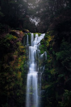 sublim-ature:  Erskine Falls, Victoria, AustraliaSam Assadi 