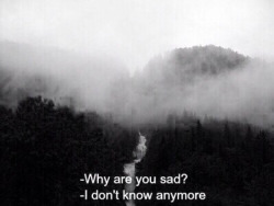 I wouldn’t be able to tell you if you asked.. on We Heart