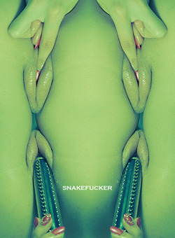 snakefucker:  insect 