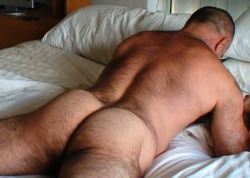 woof bears 18 +