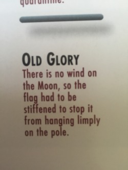daviddadeer:  In case anyone still thought the moon landing was