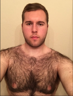 Specimens of Male Body Hair