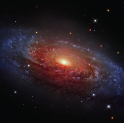 thedemon-hauntedworld:  NGC 3521 - Subaru / HST / ESOCredit:
