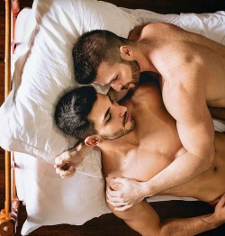 gayinbed:I wish you all the best ❤