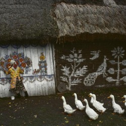 desiramone:  Poland. Zalipie, the “painted village” near Ternow. Houses are completely painted on the inside and outside by their owners. 1976. Bruno Barbey 