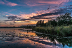 tangledintexas:  Seneca Lake Sunset by chrisd666 on Flickr.