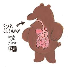 wedrawbears:  Everyone get ready to watch “Bear Cleanse”