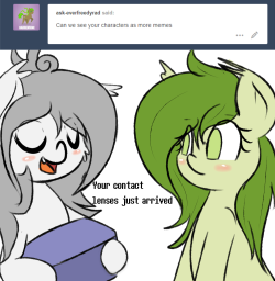 askflowertheplantponi:Chi: Flower plz.xD!