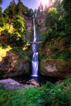 peacefulforest:  Multnomah Falls | Oregon (by Brandon Godfrey)