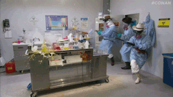 redturk:  teamcoco:  Texas Doctors Respond To Ebola  confirmed