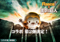snkmerchandise: News: SnK x  Araiguma Rasukaru (Rascal the Raccoon)