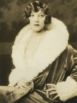 maudelynn:  Ziegfeld Girl Elsie Behrens by Alfred Cheney Johnston